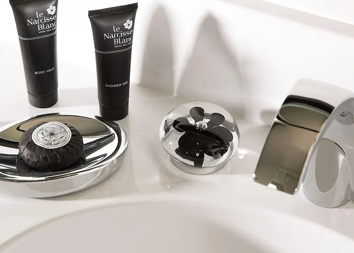 Le Narcisse Blanc Hotel Parijs