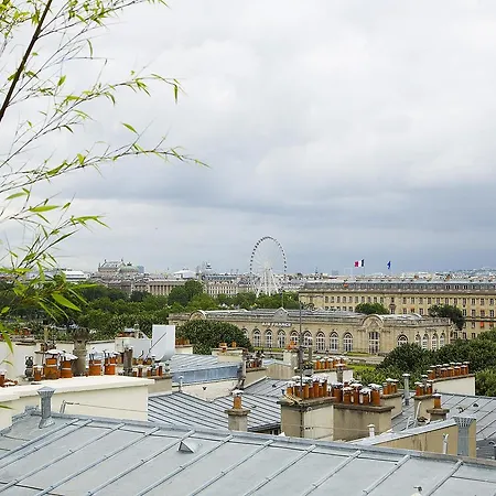 Le Narcisse Blanc Paris